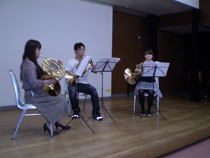 macchi horn trio